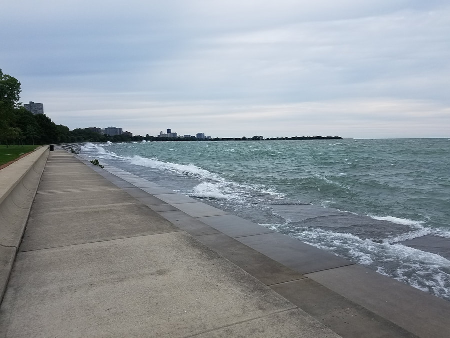 Professional seawall repair and maintenance